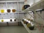 1703163081Culture-de-microalgues_listitem_medialist.jpg
